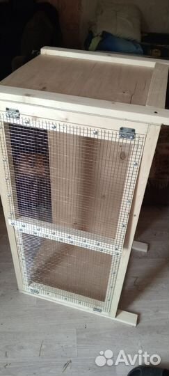 Брудер на 20-50-100 цыплят