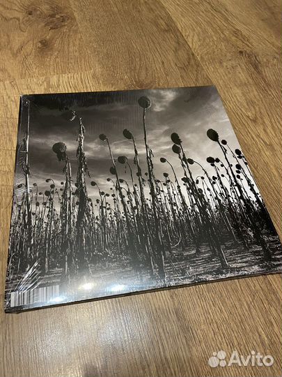 Dead Can Dance 