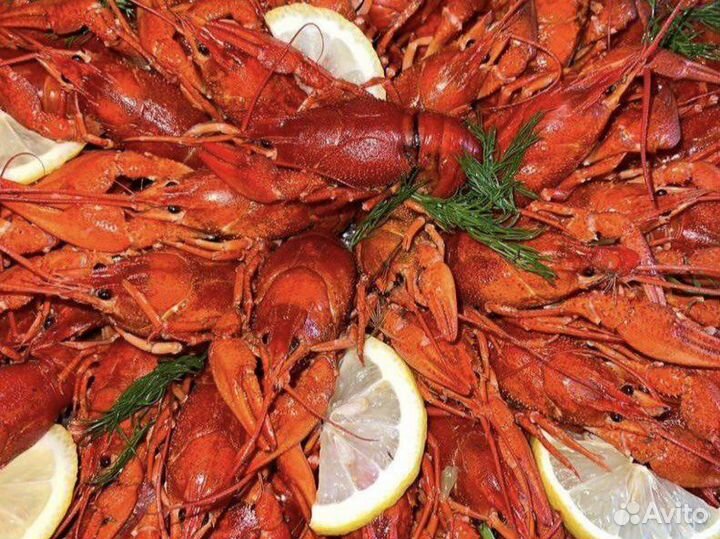 Живые и вареные раки