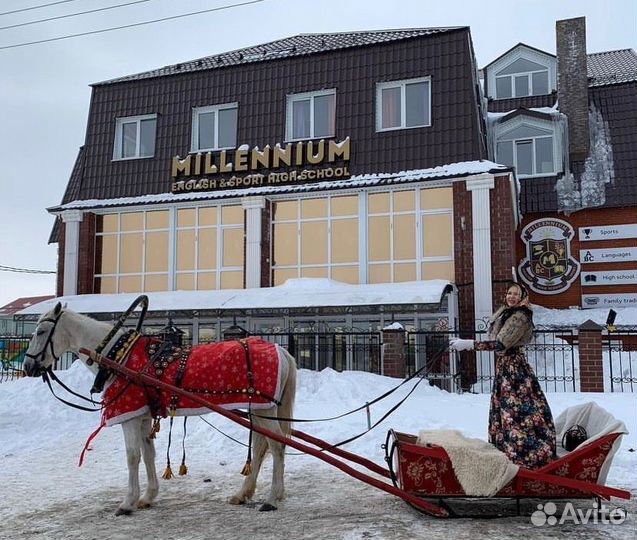 Дед Мороз и Снегурочка в санях с лошадью