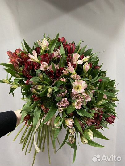 Букет из 51 альстромерии микс