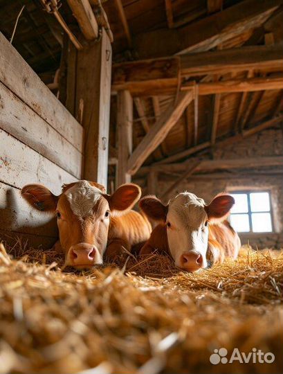 Разнорабочий на ферму