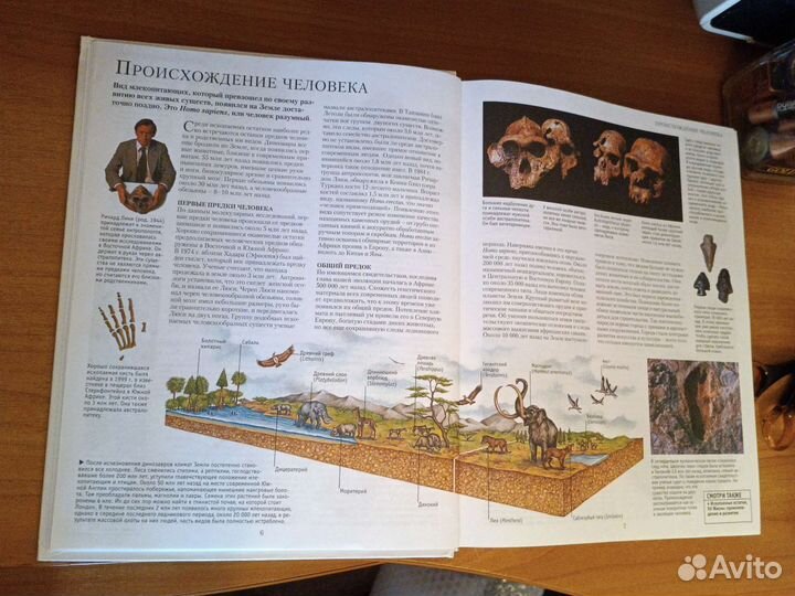 Большая иллюстрированная энциклопедия эрудита