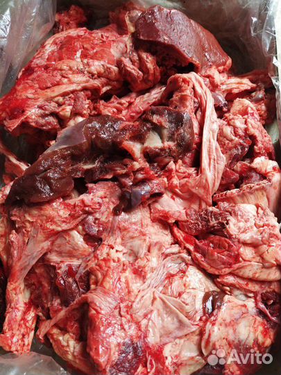 Мясо говядина субпродукты для собак