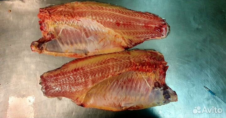 Крупный Сазан