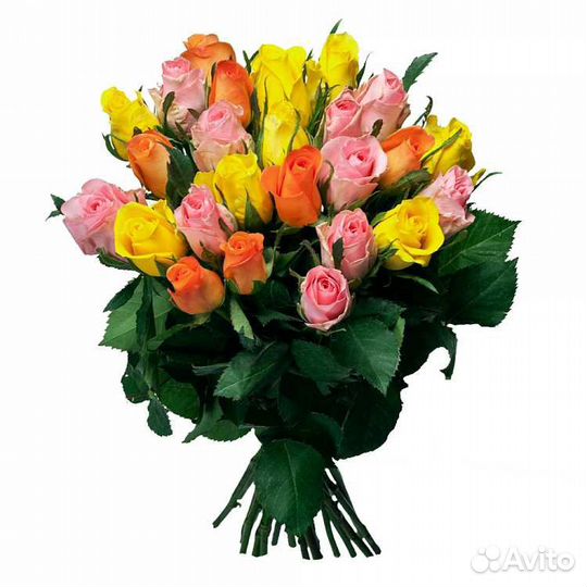 Букет из 25 роз Африка 50 см Премиум