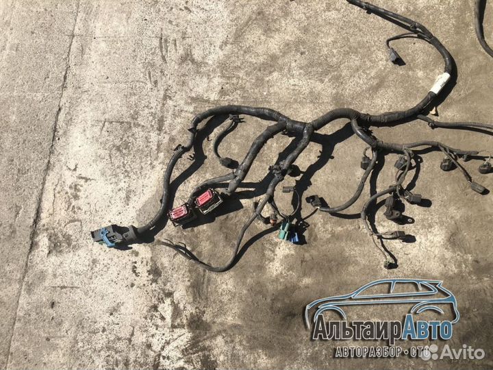 Проводка подкапотная коса двигателя Ford focus 2