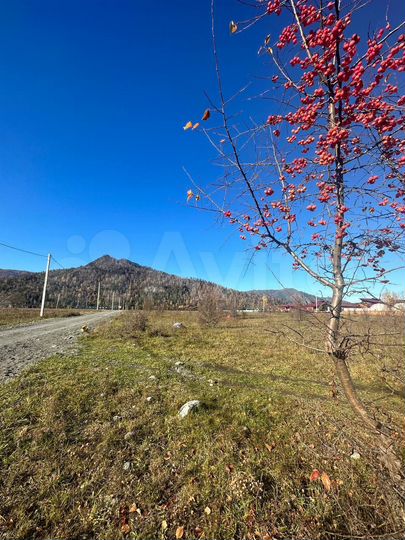 Участок 10,5 сот. (СНТ, ДНП)