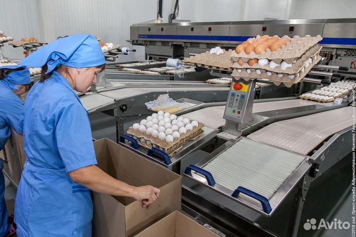 Требуются сотрудники на вахту на птицефабрике