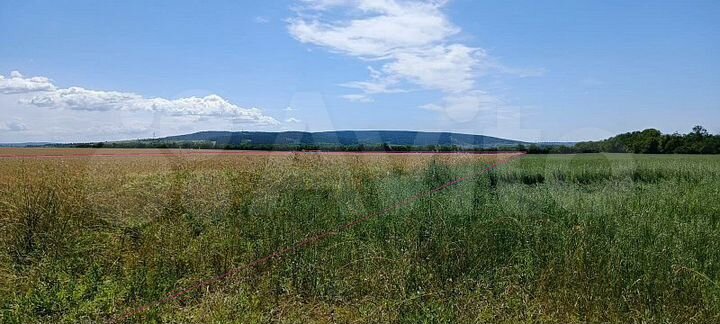 Участок 3,54 га (СНТ, ДНП)