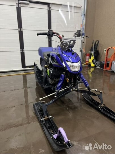 Dingo T150