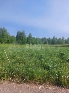 Участок 10 сот. (ИЖС)