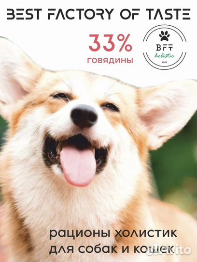 Корм холистик для собак средних пород