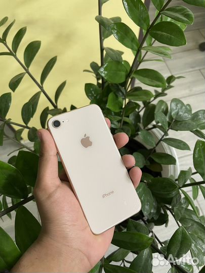 iPhone 8, 256 ГБ