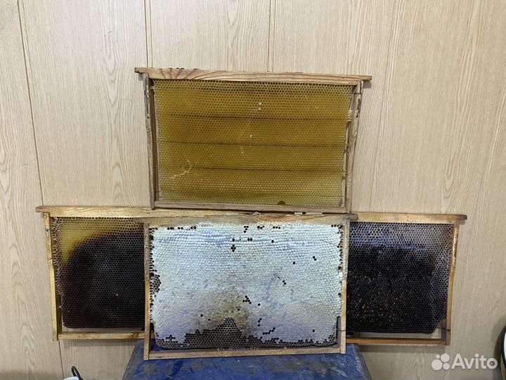 Сушь для пчел