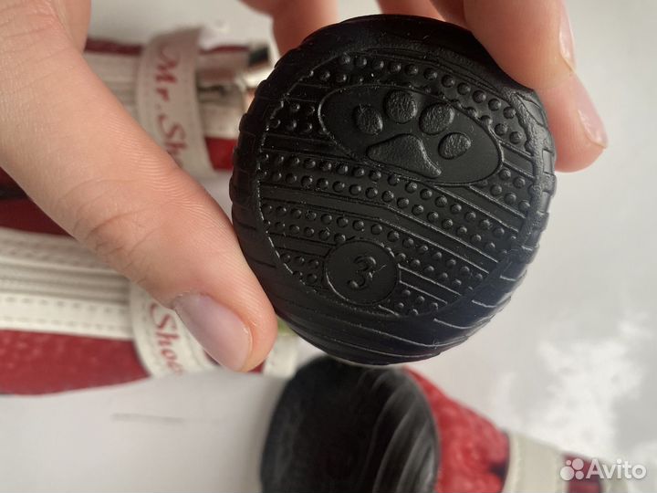 Обувь для собак мелких пород