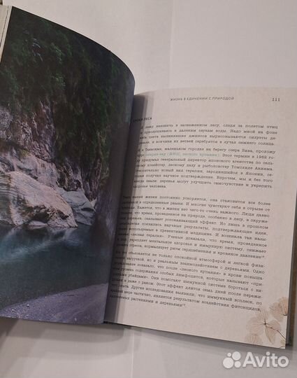 Книга Бет Кемптон Ваби Саби