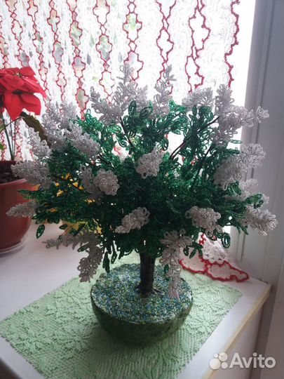 Белая сирень