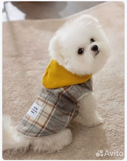 Новый жилет для собак