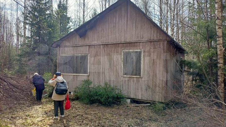 Участок 24 сот. (СНТ, ДНП)