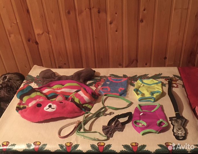Одежда для собак мелких пород /для мальчика
