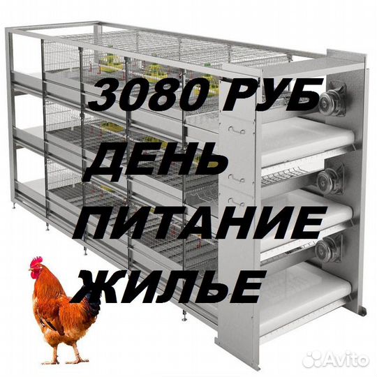 Вахта в Башкирии.Мойщики корпусов