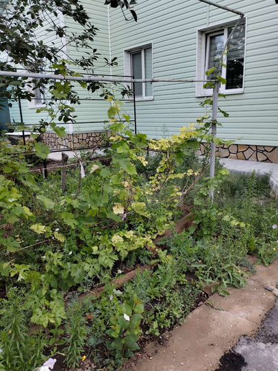 Дом 83 м² на участке 6 сот.