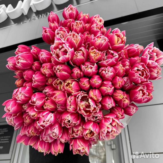 Тюльпаны Моя Весна