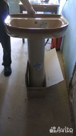 Раковина тюльпан