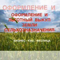 Оформление сельхоз земли от государства, Дмитров