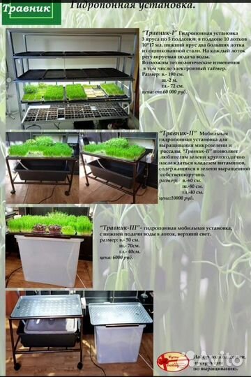 Гидропонная установка с автополивом