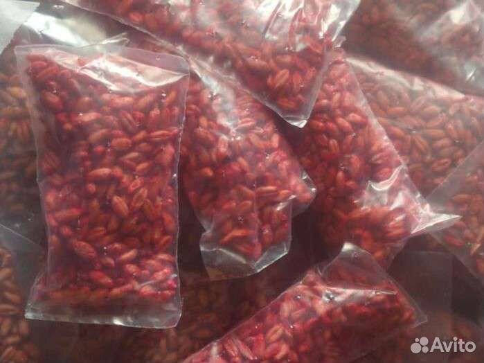 Отрава от крыс,мышей, кротов, грызунов