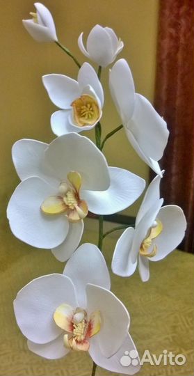 Орхидея
