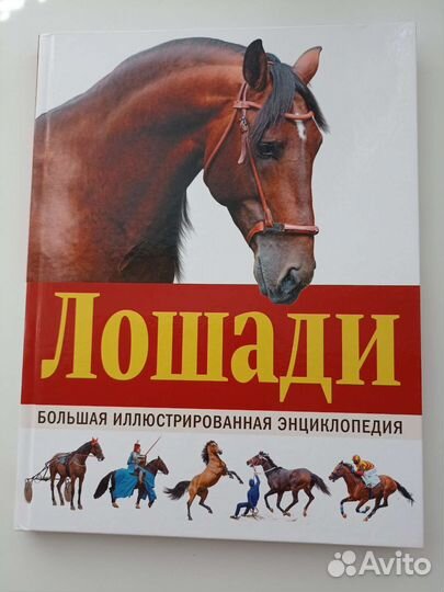 Детские книги, энциклопедия лошади