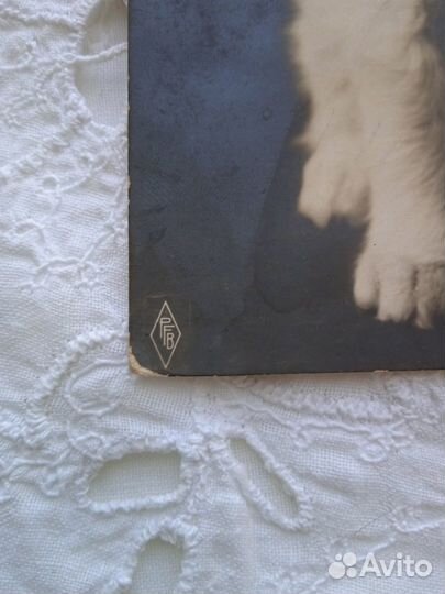 Кошка,стеклянные глазки 19 век