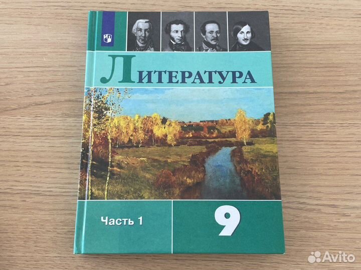 Учебник литературы 9 класс 1 часть