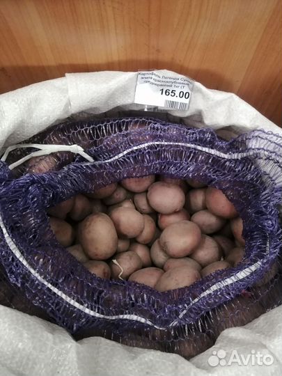 Семенной картофель разные сорта