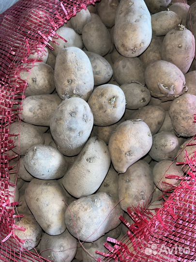 Продукты питания