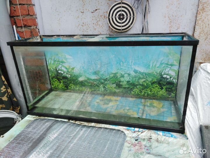 Аквариум