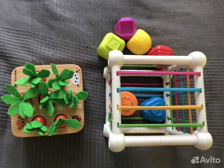 Сортер морковки +сортер резиночки