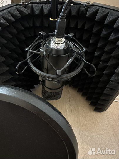 Микрофон Ritmix RDM-169