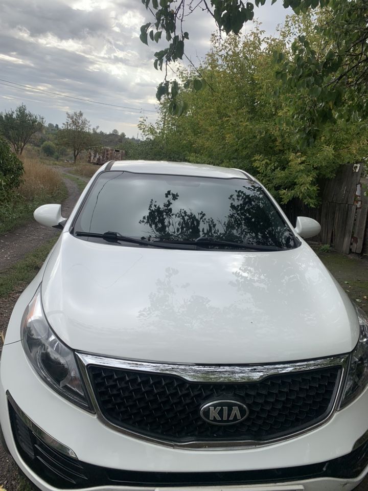 Kia Sportage: фото владельца