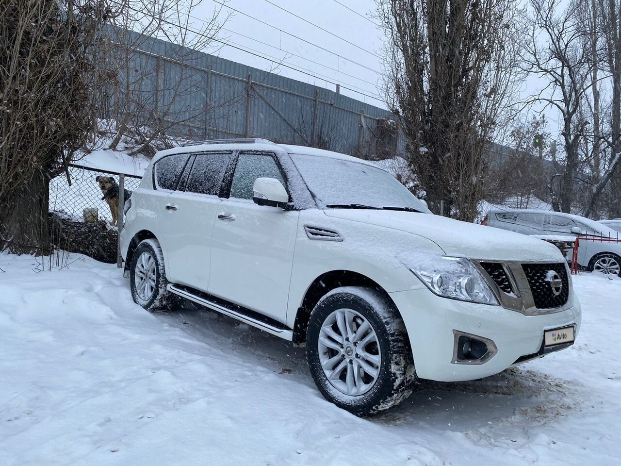 Nissan Patrol: фото владельца