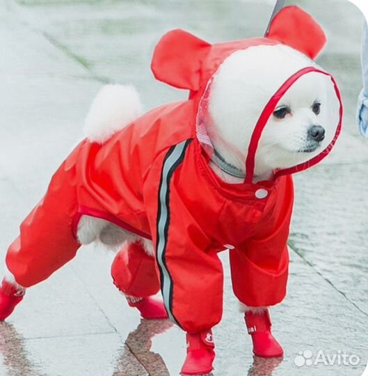 Новый дождевик для собак