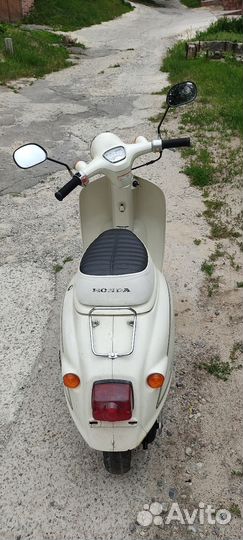 Honda giorno af-24