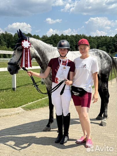 Лошадь в аренду занятия верховой ездой