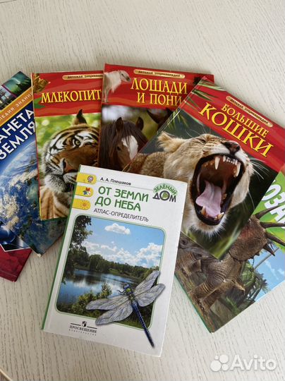 Книги для младших школьников