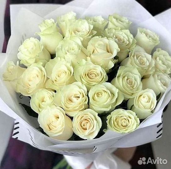 Высокие розы Гигантские розы Доставка цветов