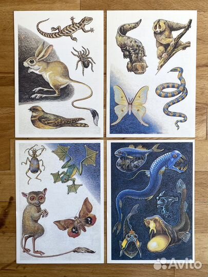 Винтажные иллюстр. обитателей темноты 16 шт. 1987