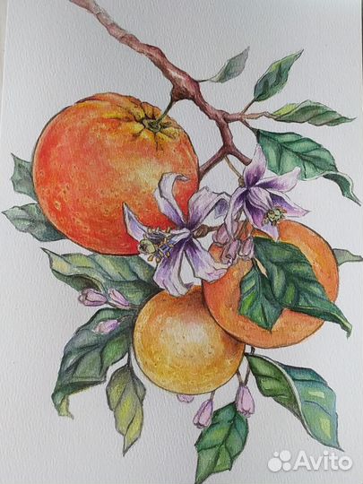 Акварельные картины